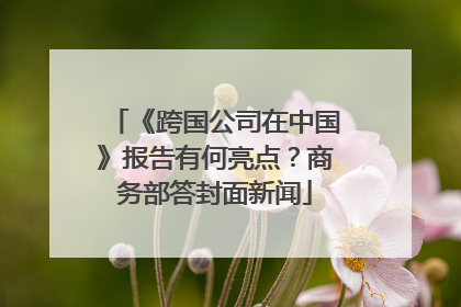 《跨国公司在中国》报告有何亮点？商务部答封面新闻