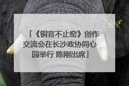 《铜官不止窑》创作交流会在长沙政协同心园举行 陈刚出席