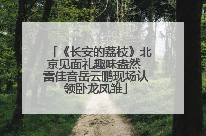 《长安的荔枝》北京见面礼趣味盎然 雷佳音岳云鹏现场认领卧龙凤雏