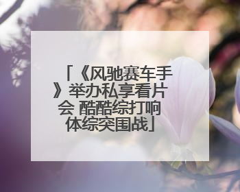 《风驰赛车手》举办私享看片会 酷酷综打响体综突围战