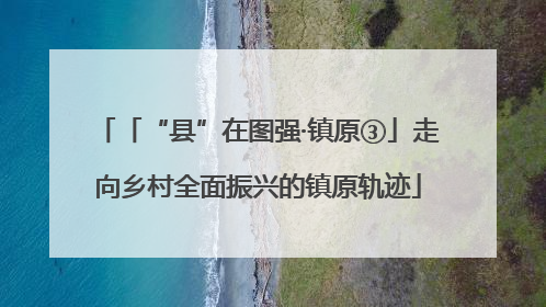 「“县”在图强·镇原③」走向乡村全面振兴的镇原轨迹