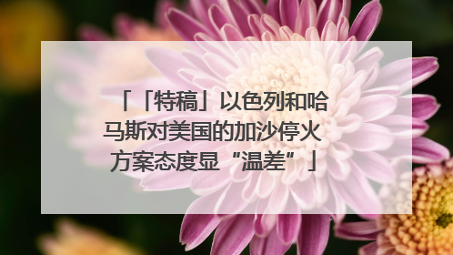 「特稿」以色列和哈马斯对美国的加沙停火方案态度显“温差”
