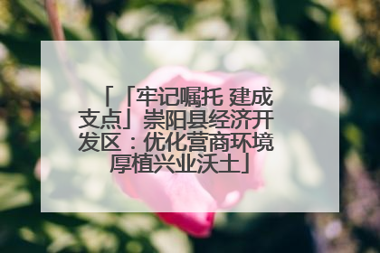 「牢记嘱托 建成支点」崇阳县经济开发区：优化营商环境 厚植兴业沃土