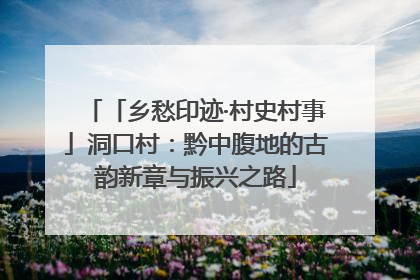 「乡愁印迹·村史村事」洞口村：黔中腹地的古韵新章与振兴之路