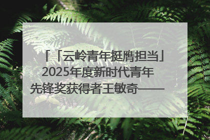 「云岭青年挺膺担当」2025年度新时代青年先锋奖获得者王敏奇——澜沧江上好渔人