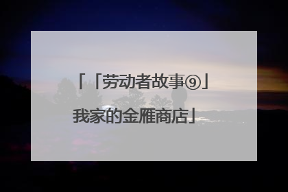 「劳动者故事⑨」我家的金雁商店