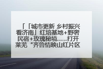 「城市更新 乡村振兴看济南」红培基地+野奢民宿+玫瑰秘境……打开莱芜“齐鲁情映山红片区”的破圈秘籍