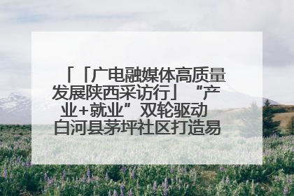 「广电融媒体高质量发展陕西采访行」“产业+就业”双轮驱动 白河县茅坪社区打造易地搬迁后扶新样本