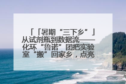 「暑期“三下乡”」从试剂瓶到数据流——化环“鲁诺”团把实验室“搬”回家乡，点亮桑梓求知路