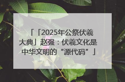 「2025年公祭伏羲大典」赵强：伏羲文化是中华文明的“源代码”