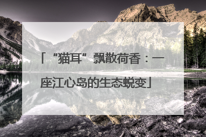 “猫耳”飘散荷香：一座江心岛的生态蜕变