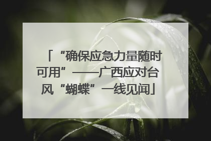“确保应急力量随时可用”——广西应对台风“蝴蝶”一线见闻