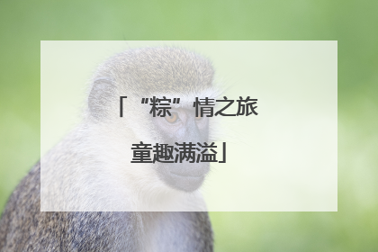 “粽”情之旅 童趣满溢