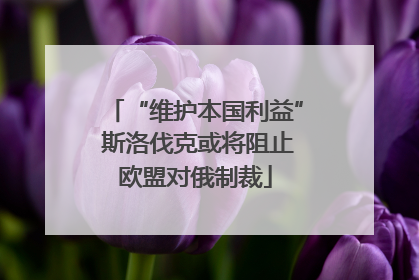 “维护本国利益” 斯洛伐克或将阻止欧盟对俄制裁