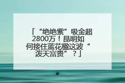 “绝绝紫”吸金超2800万！昆明如何接住蓝花楹这波“泼天富贵”？