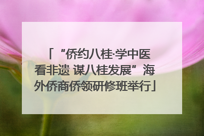“侨约八桂·学中医 看非遗 谋八桂发展”海外侨商侨领研修班举行