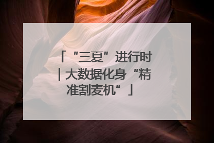 “三夏”进行时｜大数据化身“精准割麦机”