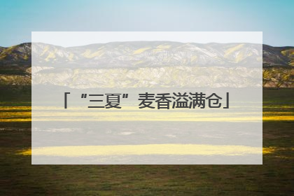 “三夏”麦香溢满仓