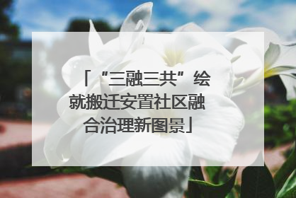 “三融三共”绘就搬迁安置社区融合治理新图景