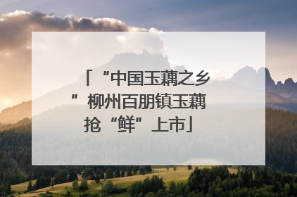 “中国玉藕之乡”柳州百朋镇玉藕抢“鲜”上市