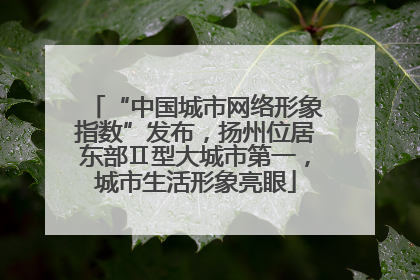 “中国城市网络形象指数”发布，扬州位居东部Ⅱ型大城市第一，城市生活形象亮眼