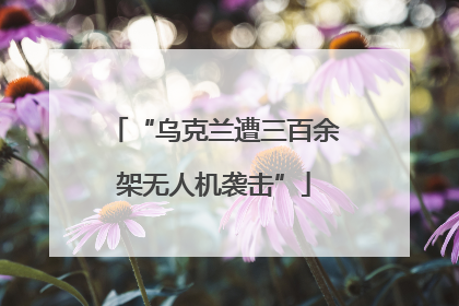 “乌克兰遭三百余架无人机袭击”