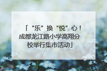 “乐”换“悦”心！成都龙江路小学高翔分校举行集市活动