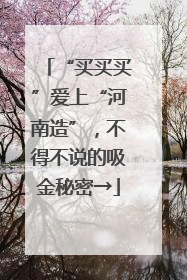 “买买买”爱上“河南造”，不得不说的吸金秘密→