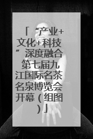 “产业+文化+科技”深度融合 第七届九江国际名茶名泉博览会开幕（组图）