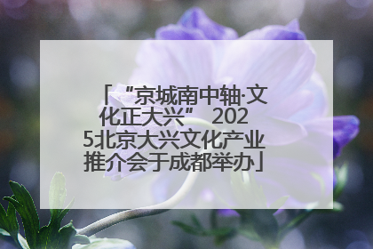 “京城南中轴·文化正大兴” 2025北京大兴文化产业推介会于成都举办