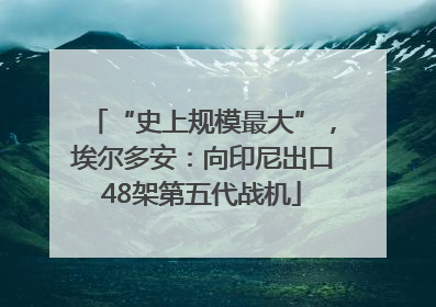 “史上规模最大”，埃尔多安：向印尼出口48架第五代战机