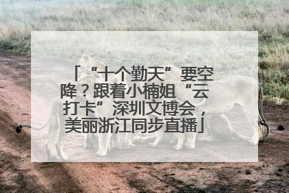 “十个勤天”要空降？跟着小楠姐“云打卡”深圳文博会，美丽浙江同步直播