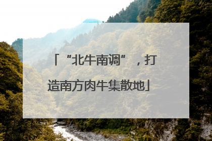 “北牛南调”，打造南方肉牛集散地