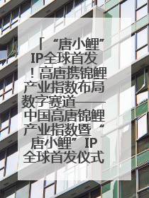 “唐小鲤”IP全球首发！高唐携锦鲤产业指数布局数字赛道——中国高唐锦鲤产业指数暨“唐小鲤”IP全球首发仪式在杭州举行