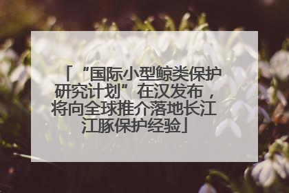 “国际小型鲸类保护研究计划”在汉发布，将向全球推介落地长江江豚保护经验