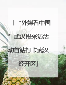 “外媒看中国”武汉段采访活动首站打卡武汉经开区