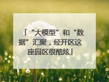 “大模型”和“数据”汇聚，经开区这座园区很酷炫