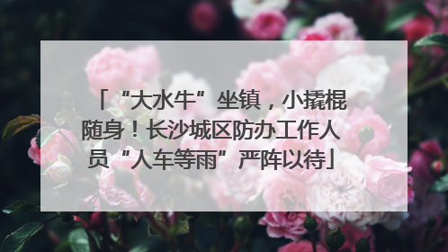 “大水牛”坐镇，小撬棍随身！长沙城区防办工作人员“人车等雨”严阵以待