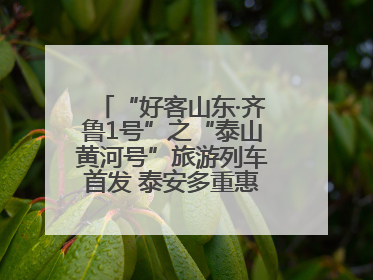 “好客山东·齐鲁1号”之“泰山黄河号”旅游列车首发 泰安多重惠民举措激活文旅消费新动能