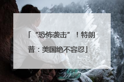 “恐怖袭击”！特朗普：美国绝不容忍
