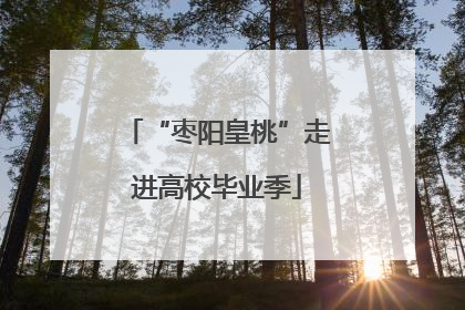 “枣阳皇桃”走进高校毕业季