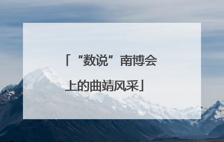 “数说”南博会上的曲靖风采