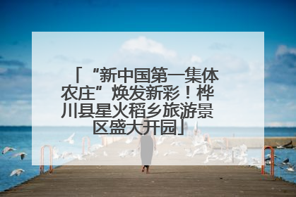 “新中国第一集体农庄”焕发新彩！桦川县星火稻乡旅游景区盛大开园