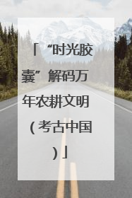 “时光胶囊”解码万年农耕文明（考古中国）