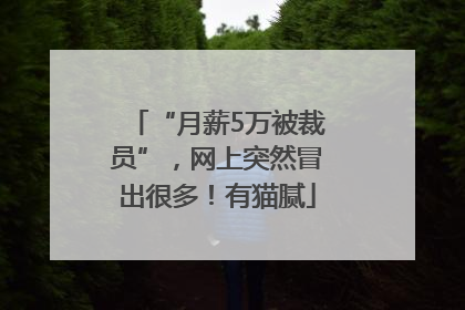 “月薪5万被裁员”，网上突然冒出很多！有猫腻