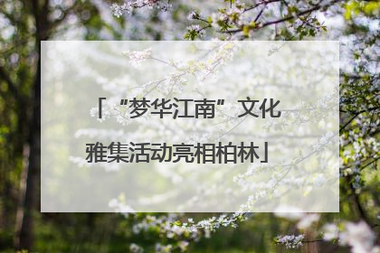 “梦华江南”文化雅集活动亮相柏林