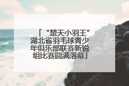 “楚天小羽王”湖北省羽毛球青少年俱乐部联赛新锐组比赛圆满落幕