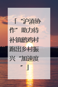 “沪滇协作”助力待补镇鹧鸡村跑出乡村振兴“加速度”