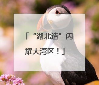 “湖北造”闪耀大湾区！