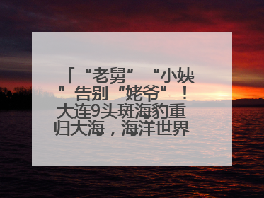 “老舅”“小姨”告别“姥爷”！大连9头斑海豹重归大海，海洋世界：它们已具备野外生存能力